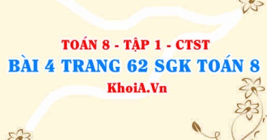 Bài 4 trang 62 SGK Toán 8 Tập 1 Chân trời sáng tạo